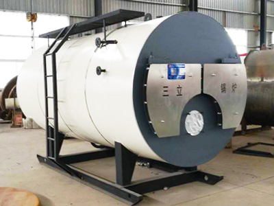 燃?xì)庹羝仩t